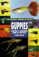 Fancy Live Guppies for sale